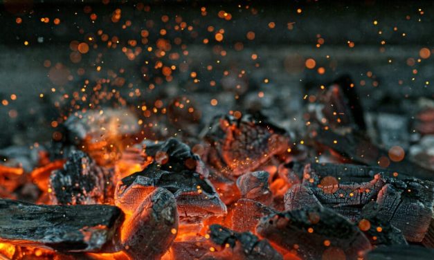 New Hope set to double coal production
