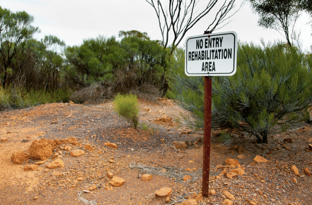 Queensland builds on coal mine rehabilitation leadership