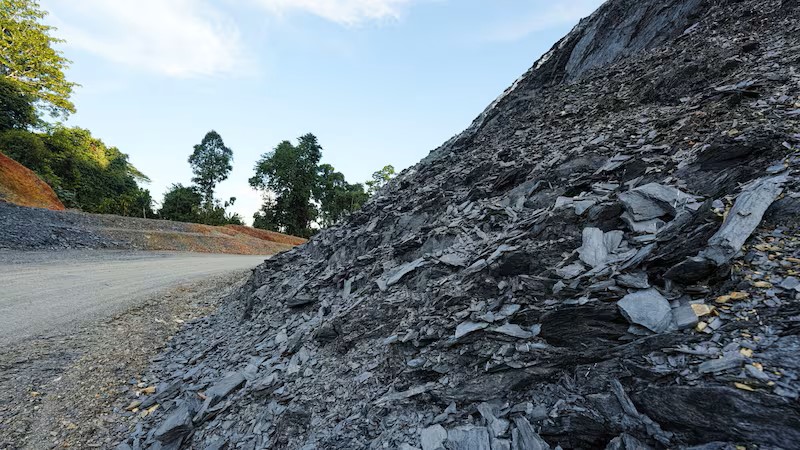 French-Backed Group Details Ways to Make Coal Investing Greener