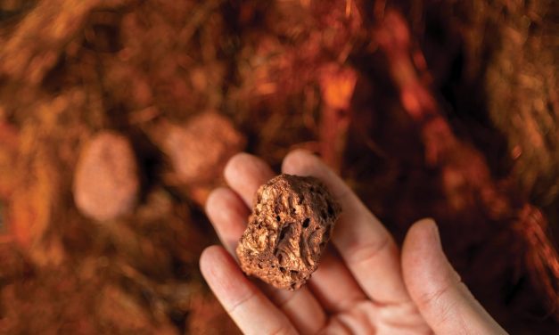 Rio Tinto and Sumitomo accelerate Winu development