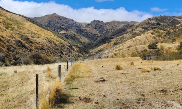 Santana secures key landholding for NZ mine development
