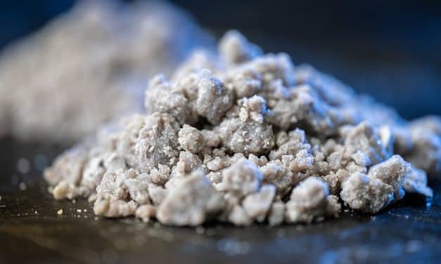 Ramaco says Brook rare earth project viable with $1.2bn NPV – Fluor report
