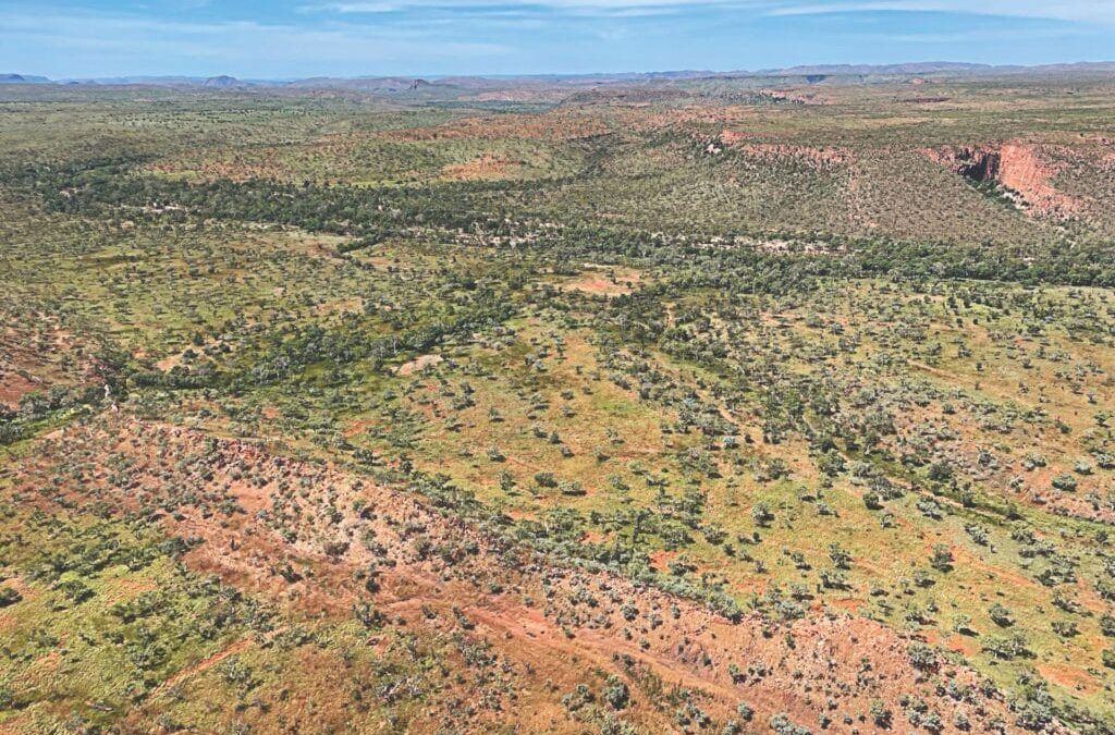 Japanese giant backs emerging fluorite projects