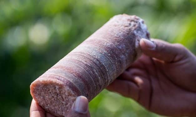 Brazil Potash seeks up to $1.8bn to build Amazon mine