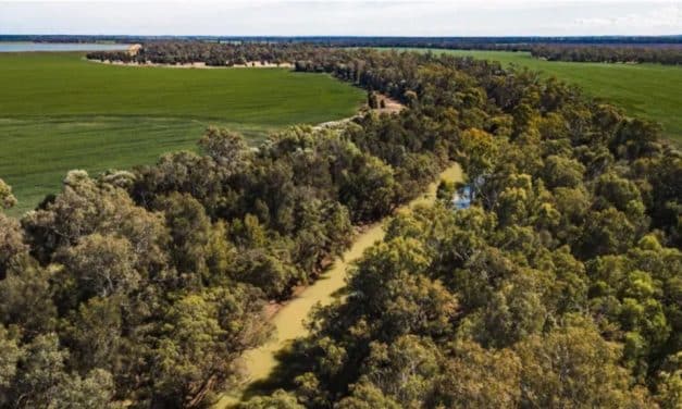 Rio Tinto backs new A$250m agriculture–carbon venture in Australia