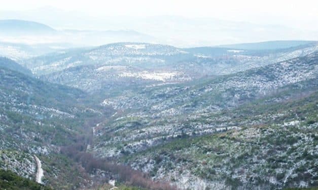Alamos Gold exists Türkiye to focus on North America