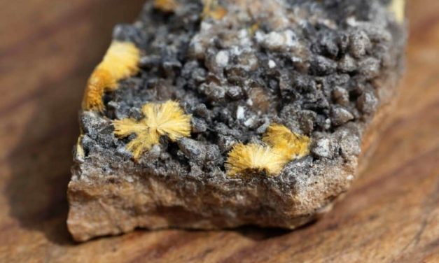 Lotus eyes African uranium expansion