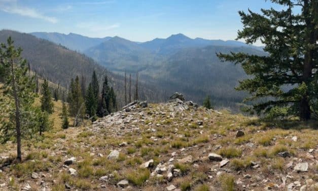 Strong US market debut for Red Mountain