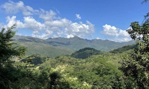 Miners abducted in Mexico killed, says Canada’s Vizsla Silver