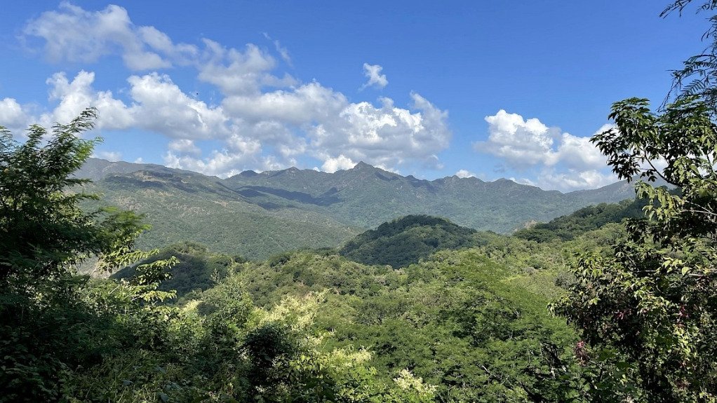 Miners abducted in Mexico killed, says Canada’s Vizsla Silver