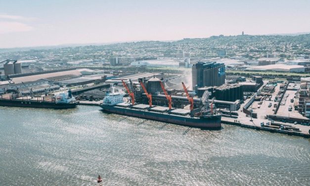 Botswana Minerals starts work on copper licences