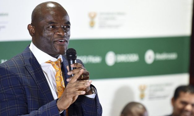 Northern Cape can be South Africa’s next mining hub, says Minerals Council economist