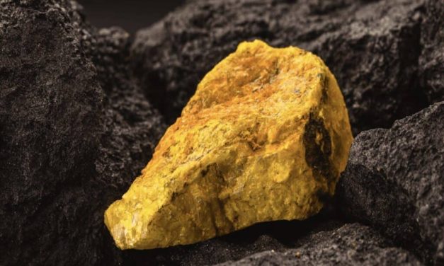 Boss boosts uranium resources