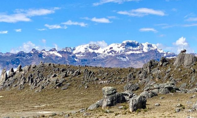 American Lithium welcomed as member of US Defence Industrial Base Consortium