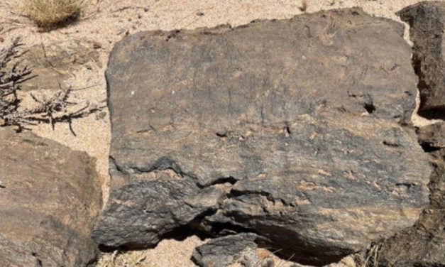 Kendrick raises £1.76m for Namibia rare earths project