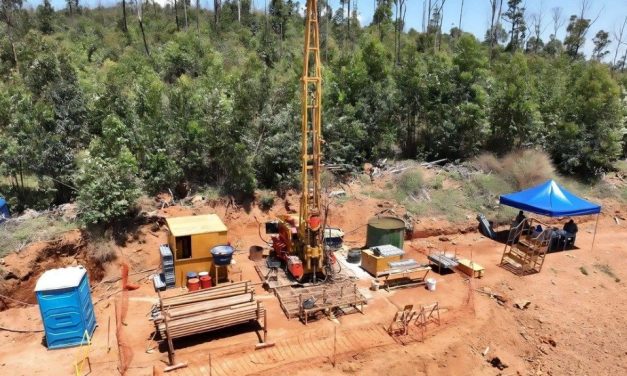 Brazil rare earths miner Viridis to sell to US, European buyers, not China, CEO says