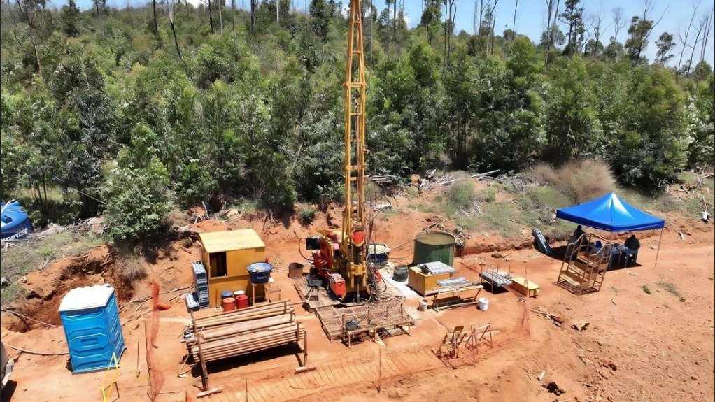 Brazil rare earths miner Viridis to sell to US, European buyers, not China, CEO says