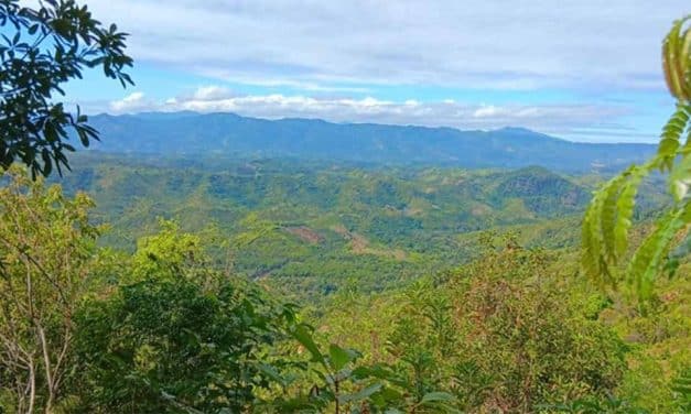 Harena signs project development funding agreement with US govt investment arm