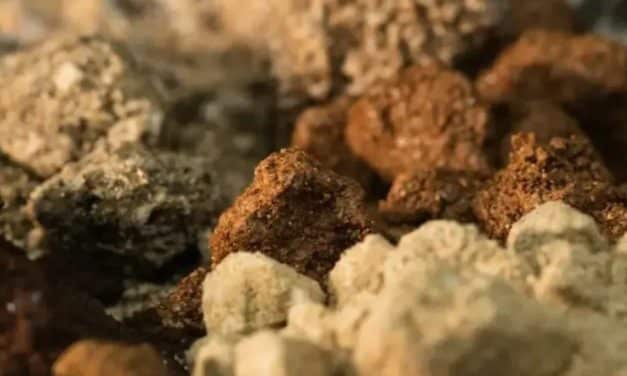 Indonesia seeks to resolve mineral export bottlenecks caused by rare earth content