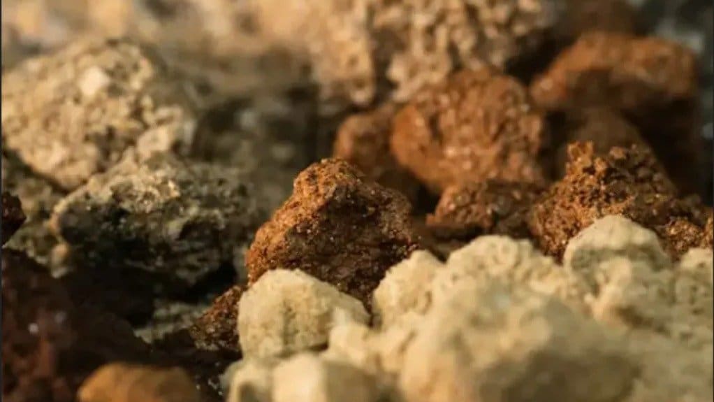 Indonesia seeks to resolve mineral export bottlenecks caused by rare earth content