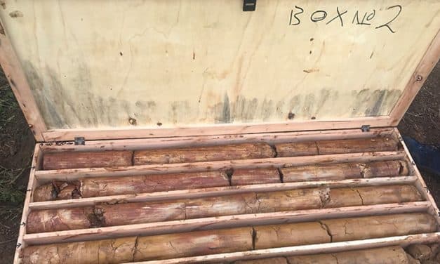 Ionic launches strategic review of Uganda rare earths project