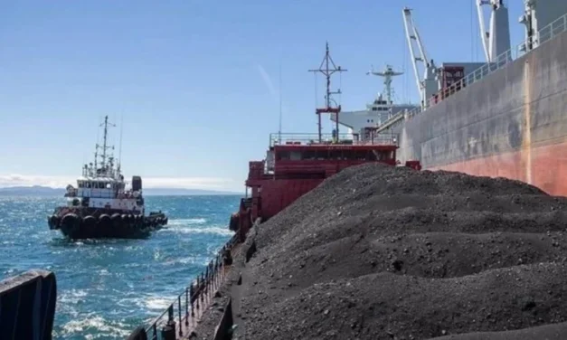 Russia losing coal market share in Turkiye as seaborne deliveries stop