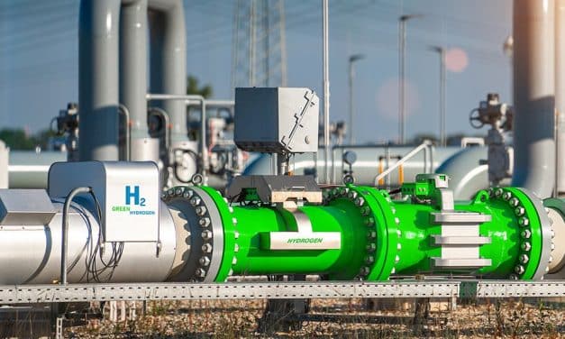 India’s NTPC seeks overseas buyers for green ammonia, low-carbon fuels