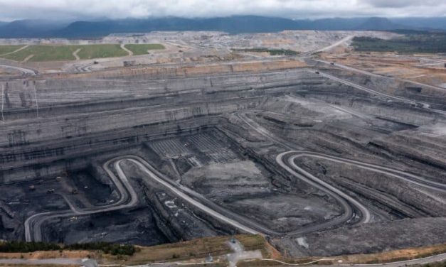NSW establishes authority for coal’s future