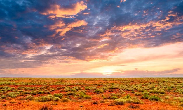 Tivan multi-million-dollar Molyhil JV moves towards binding deal